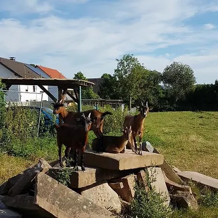 Ferienwohnung/monteurwohnung Im Schoenen Odenwald Appartamento