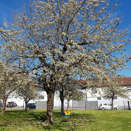 Ferienwohnung/monteurwohnung Im Schoenen Odenwald *