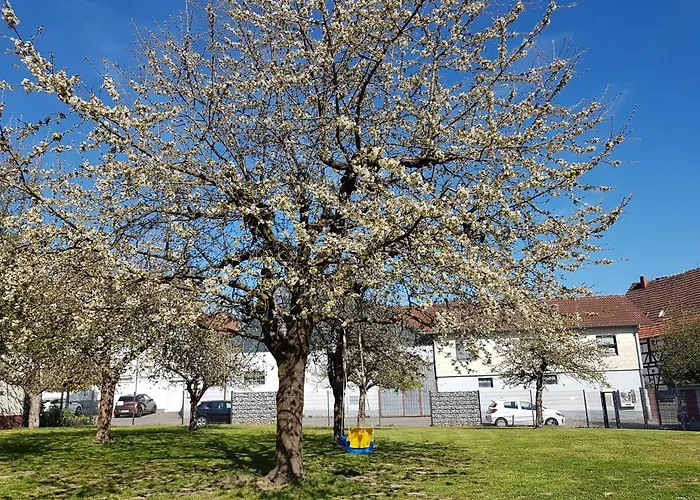 Ferienwohnung/monteurwohnung Im Schoenen Odenwald *
