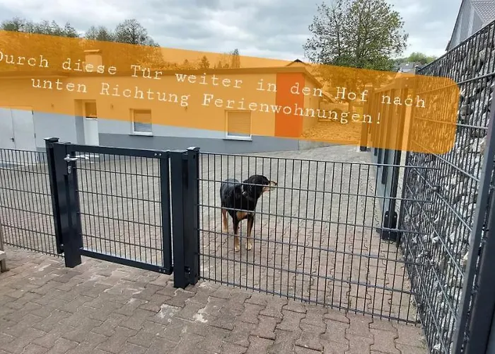 Ferienwohnung/monteurwohnung Im Schoenen Odenwald Διαμέρισμα