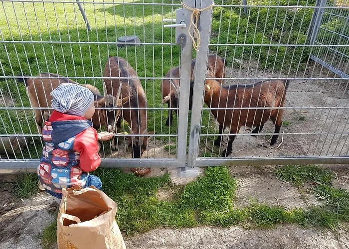 Ferienwohnung/monteurwohnung Im Schoenen Odenwald * Mörlenbach
